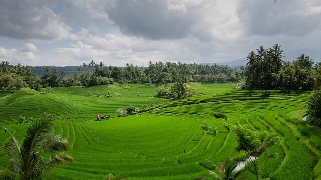 natural beauty of Bali