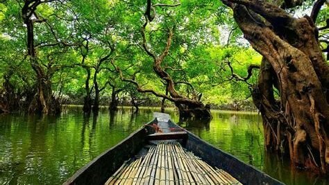 want to travel Bangladesh