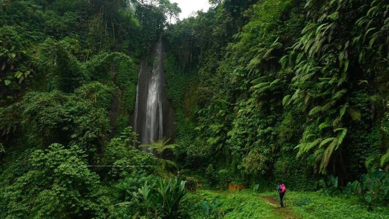 Ultimate Guide to Sustainable Travel in 2026 Explore the World Responsibly